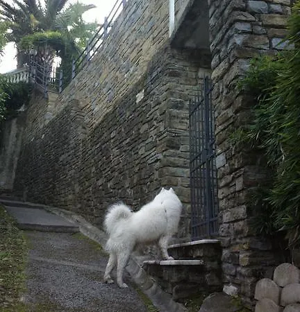 Апартаменты Studio-apartments Monfort *