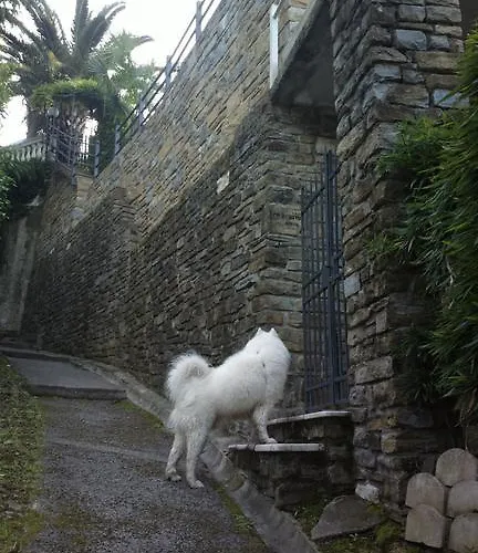 公寓 Studio-apartments Monfort *